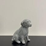labradord dog