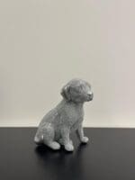 labradord dog