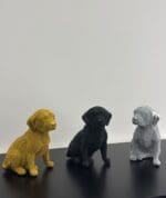 labradord dog - Image 2