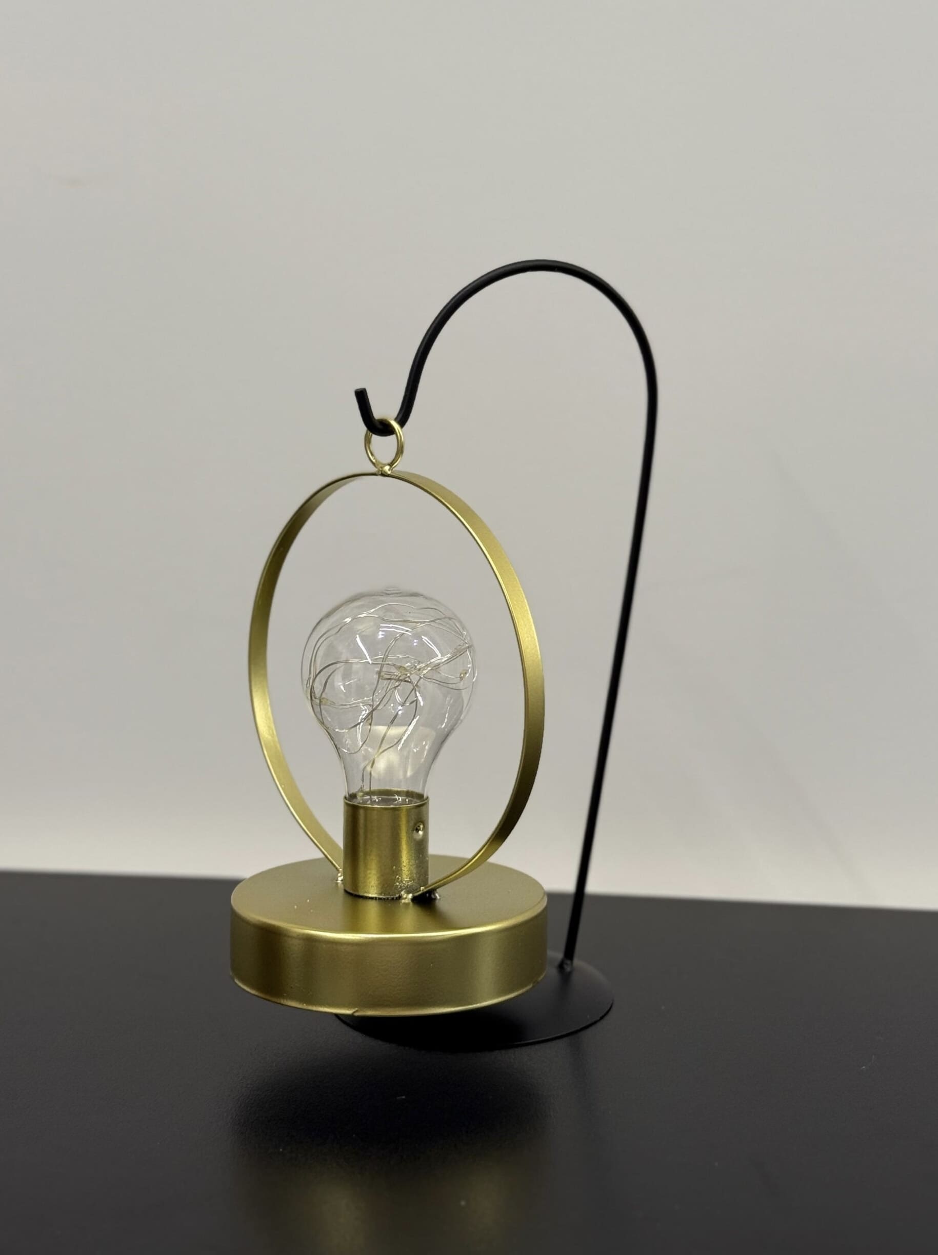 IMG_2317 Hanging Lamp - Image 1