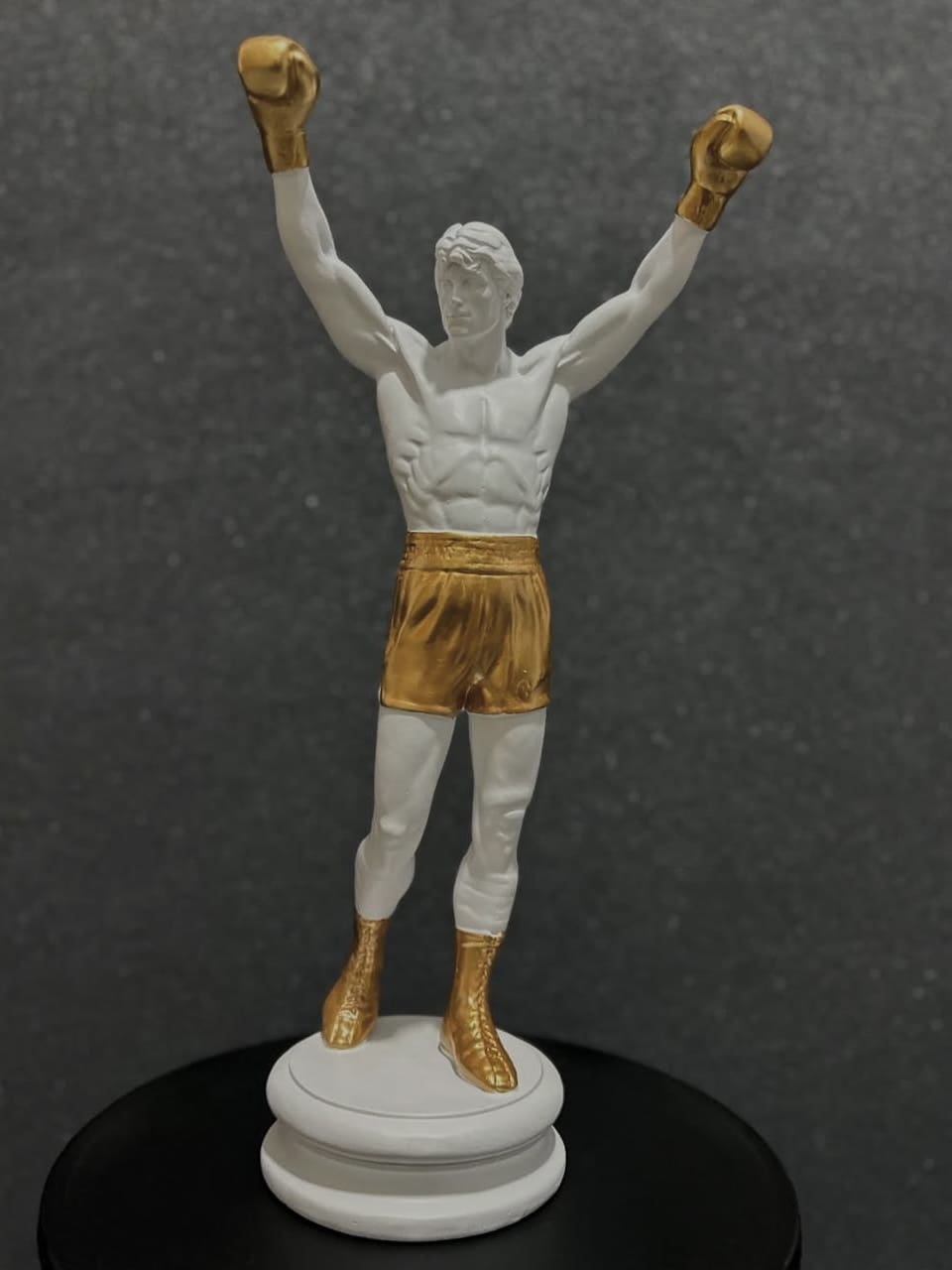 IMG_3230 Victory Stance - Image 1