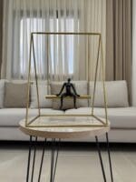 Man On Swing