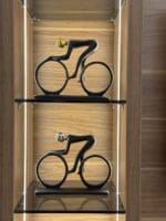 Modern Cyclist Duo
