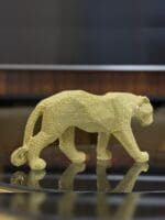 Tiger Gold
