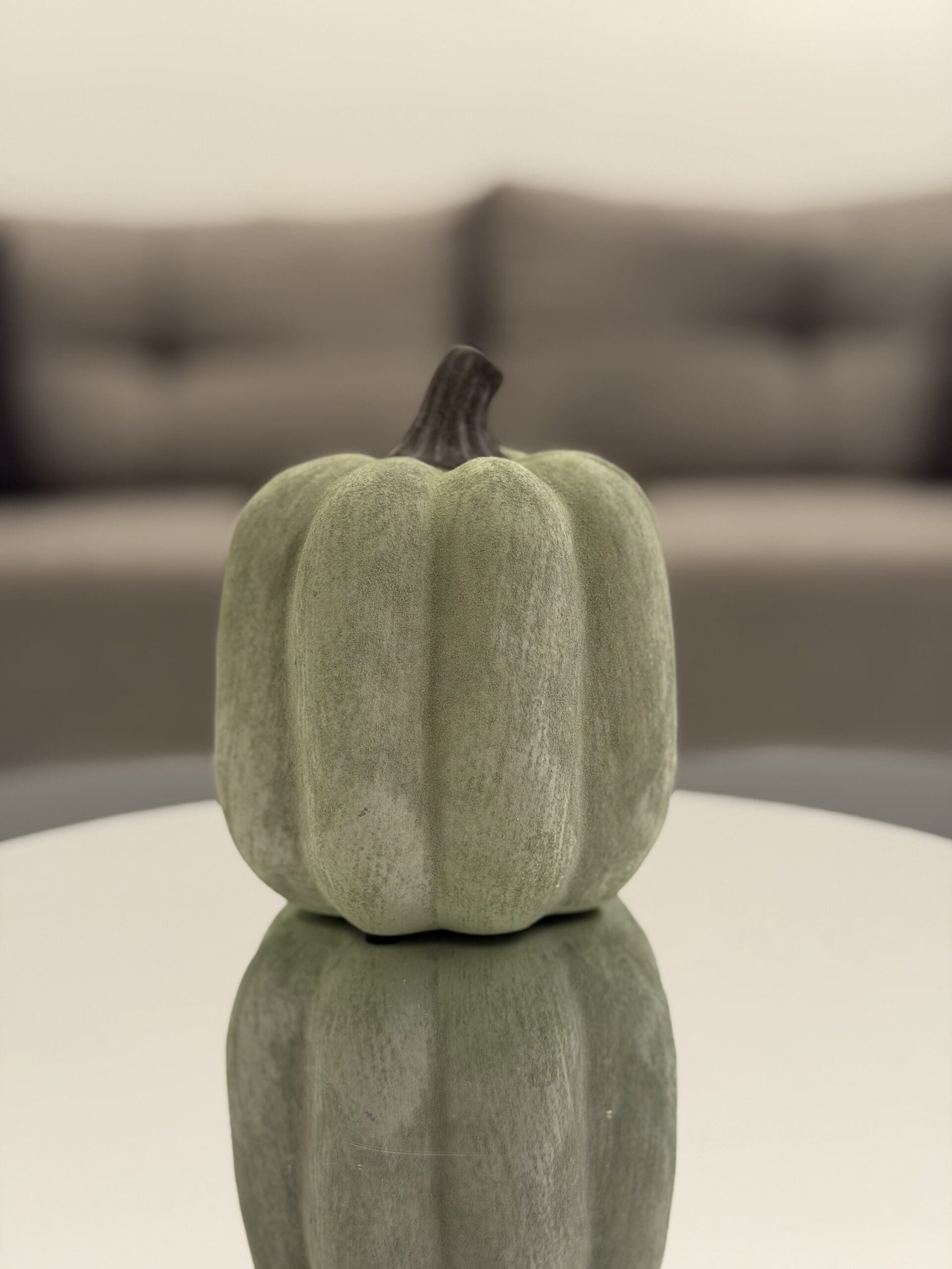IMG_5101 Pumpkin - Image 1