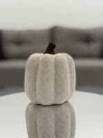 Pumpkin - Image 2