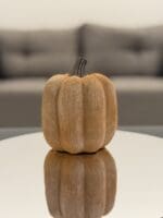 Pumpkin - Image 3