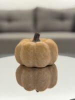 Classic Pumpkin Decor