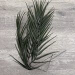 Artificial Palm Leaf Stem (3 pcs)