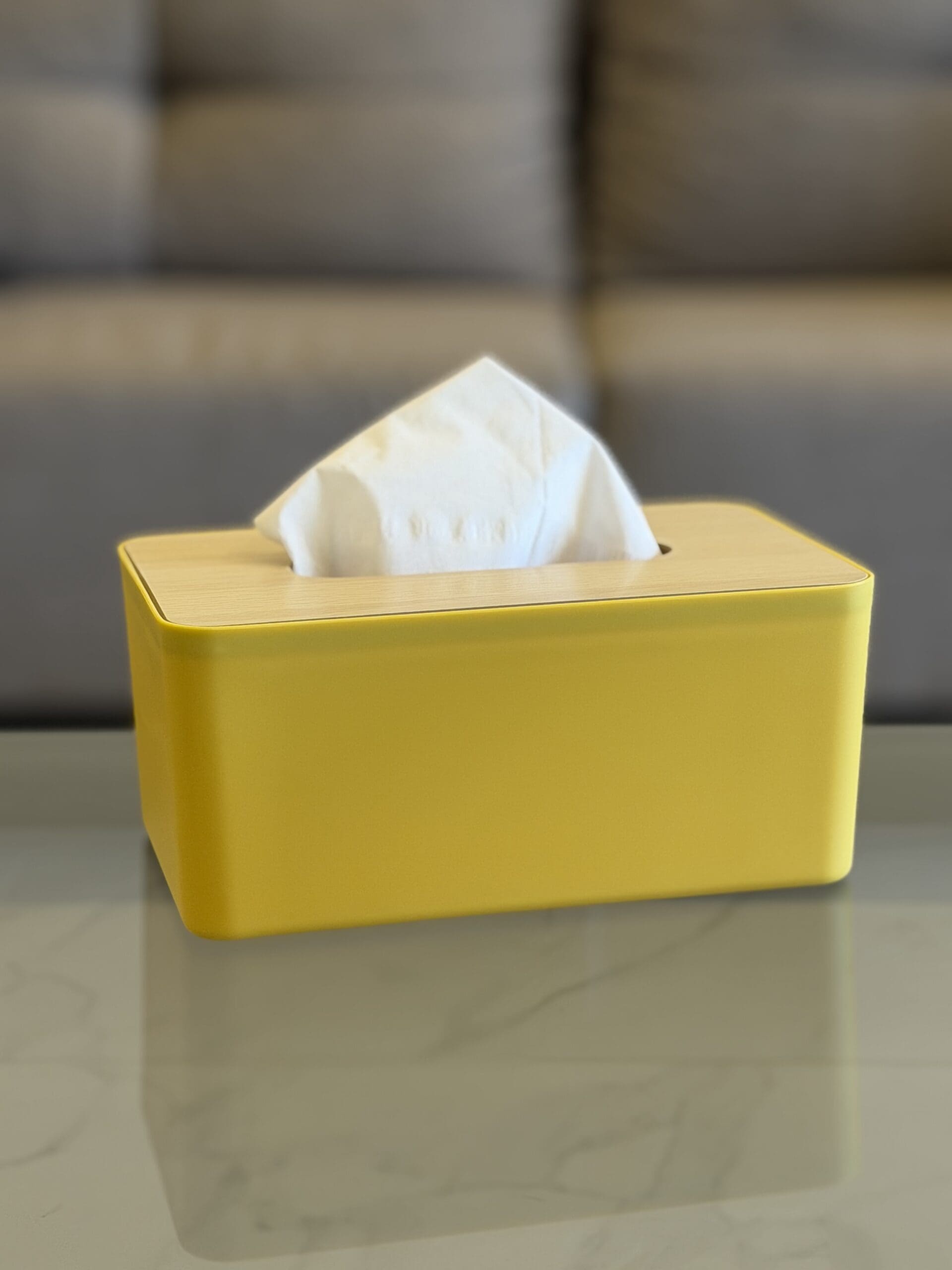 IMG_7465 Minimal Tissue Box - Image 1