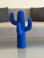 Textured Cactus - Image 4