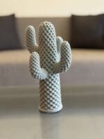 Textured Cactus - Image 2