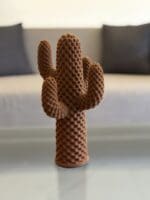 Textured Cactus - Image 3