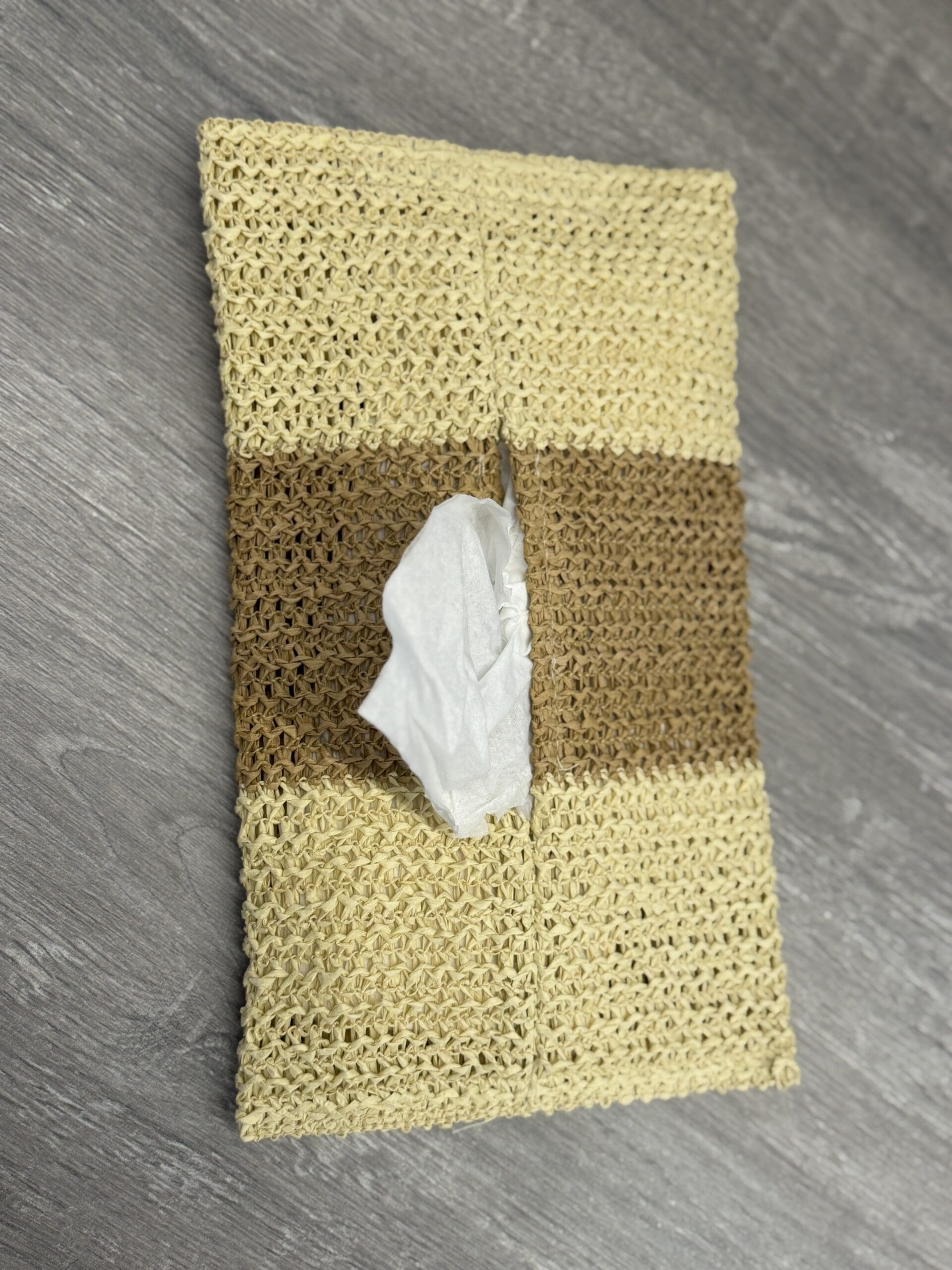IMG_0866 Crochet Tissue Box - Image 1